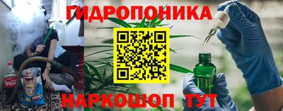 бошки Аша