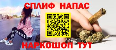 прущие грибы Ачхой-Мартан